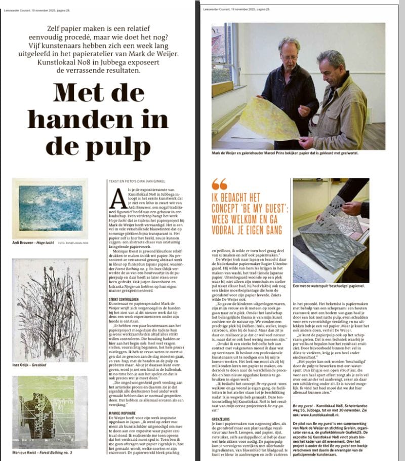 Dirk van Ginkel over Be My Guest